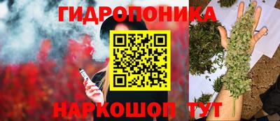 PSILOCYBIN Кинель