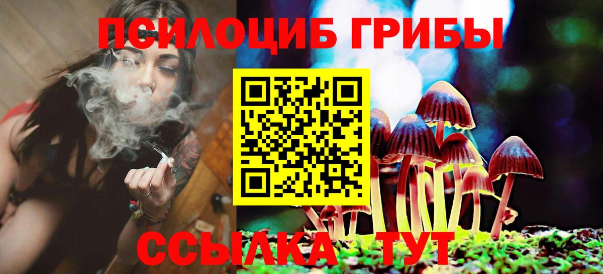 Галлюциногенные грибы Cubensis Десногорск